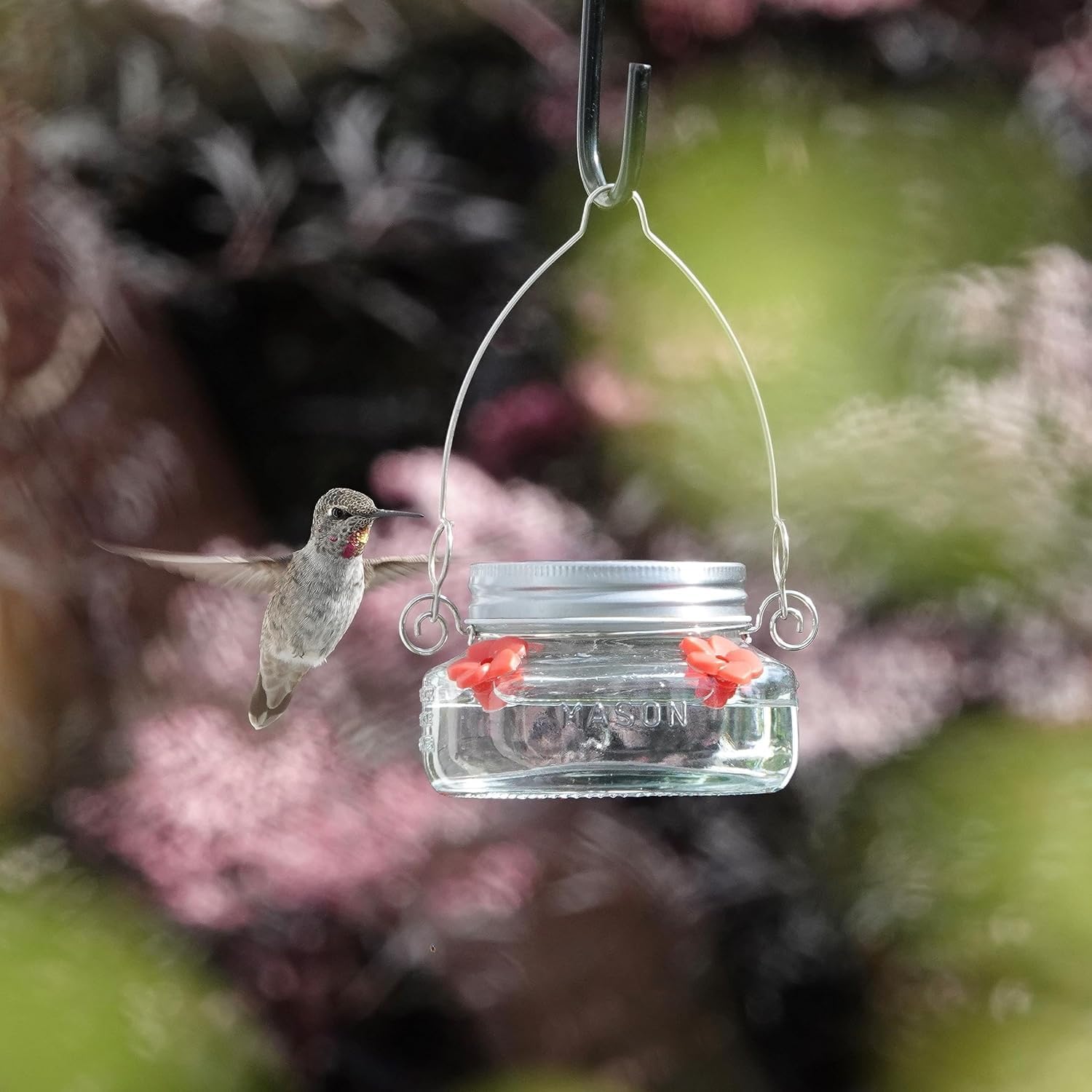 🔥Last Day Sale 50% OFF💥Beautiful Mason JarHummingbird Feeder