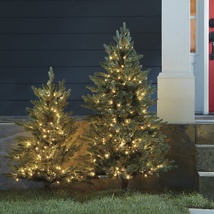 On Sale🔥Staked Twinkling Fraser Fir Tree