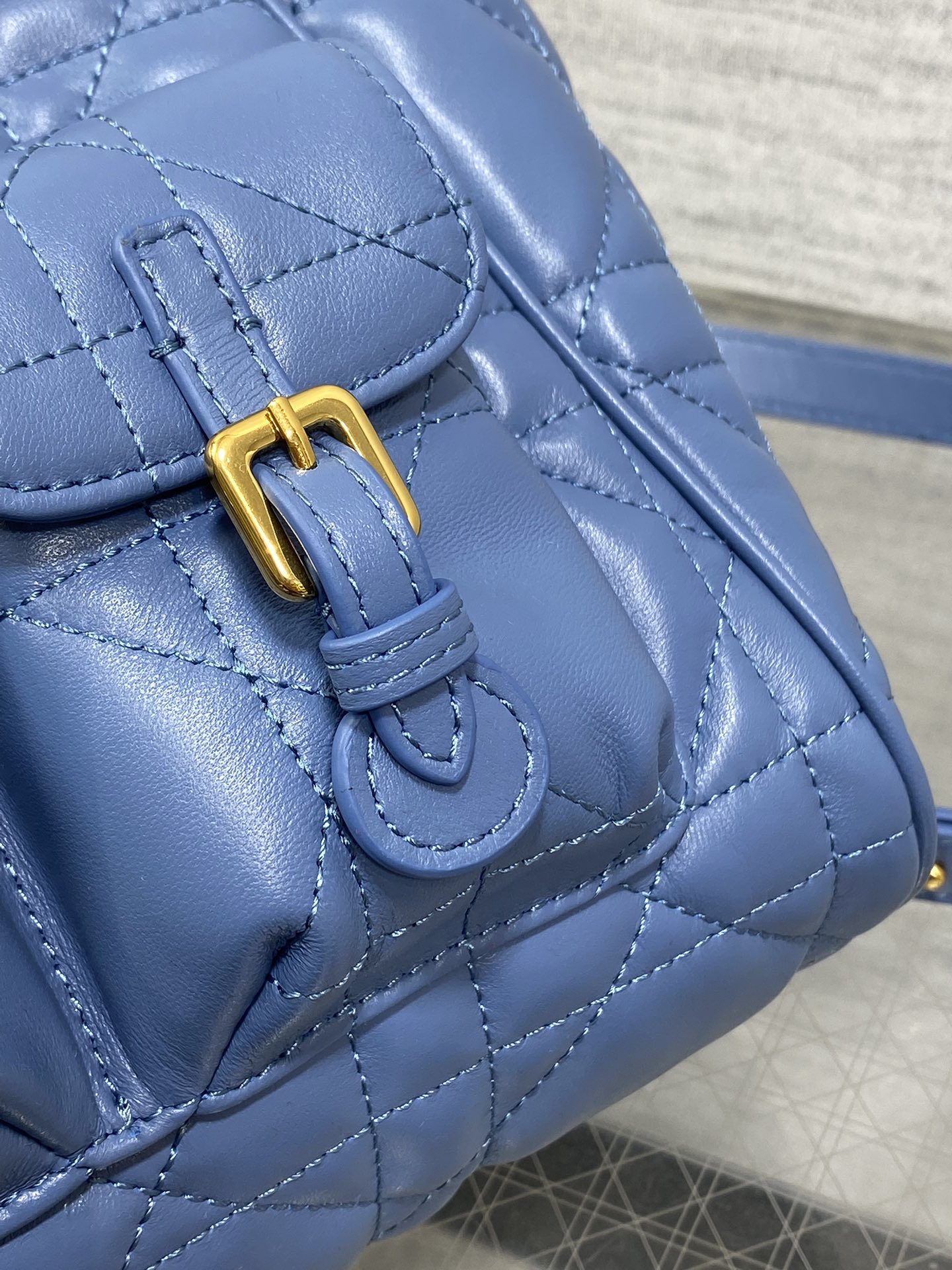 Dior Caro Fall/Winter Backpack