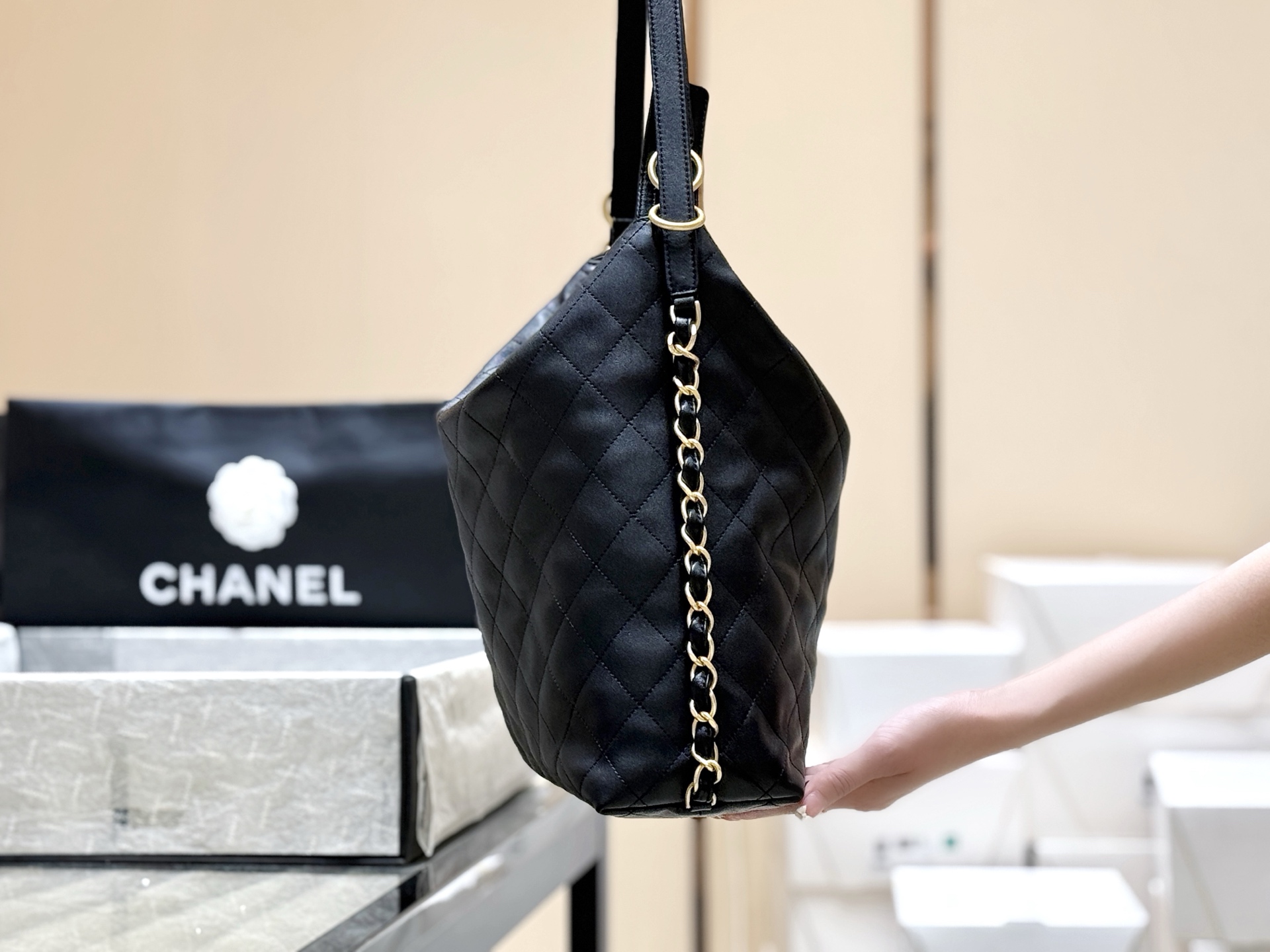Chanel 25S Spring/Summer Collection Hobo Bag AS5523 00158