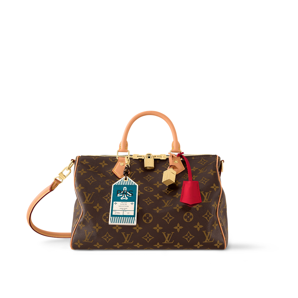 Louis Vuitton SPEEDY SOFT 30 CRAFTY Bag M11945