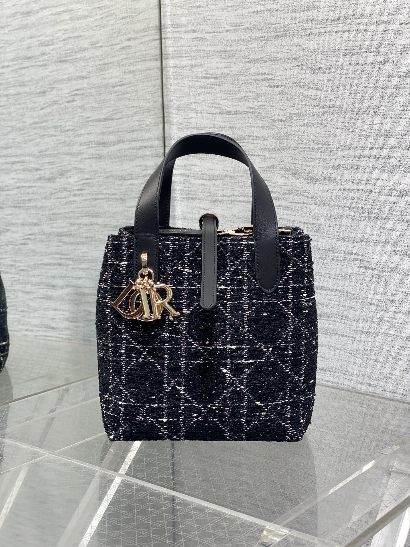 Dior Toujours vertical series small