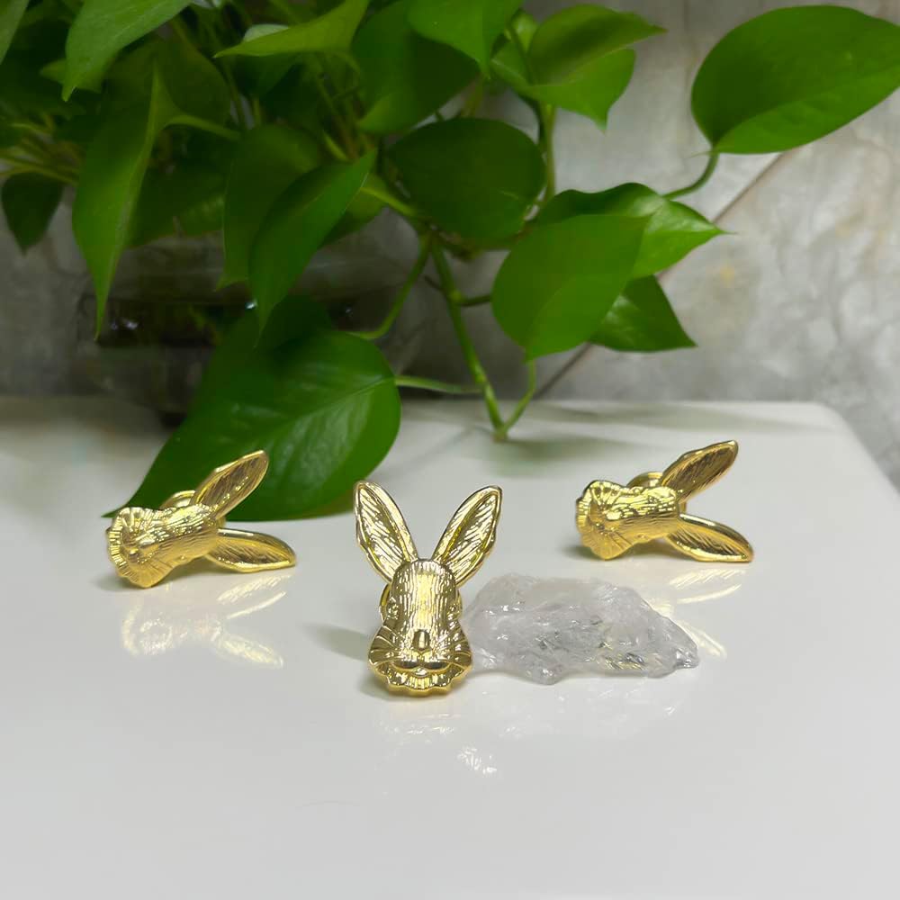 🔥ON SALE🔥Cupboard Furnitures Decoration DIY Brass Knobs-4Pack