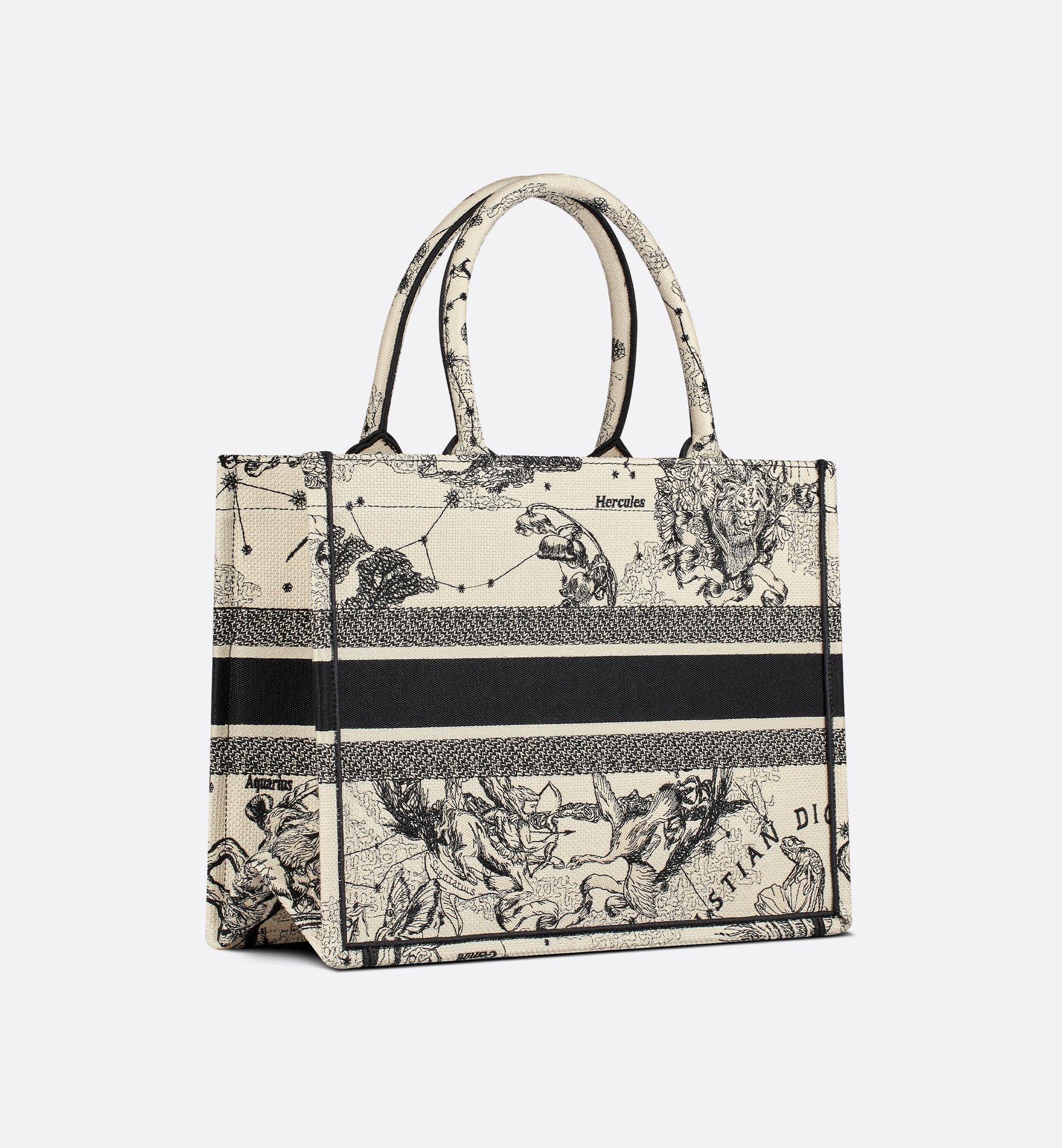 Dior Medium Book Tote Bag M1296ZRHZ_M06E