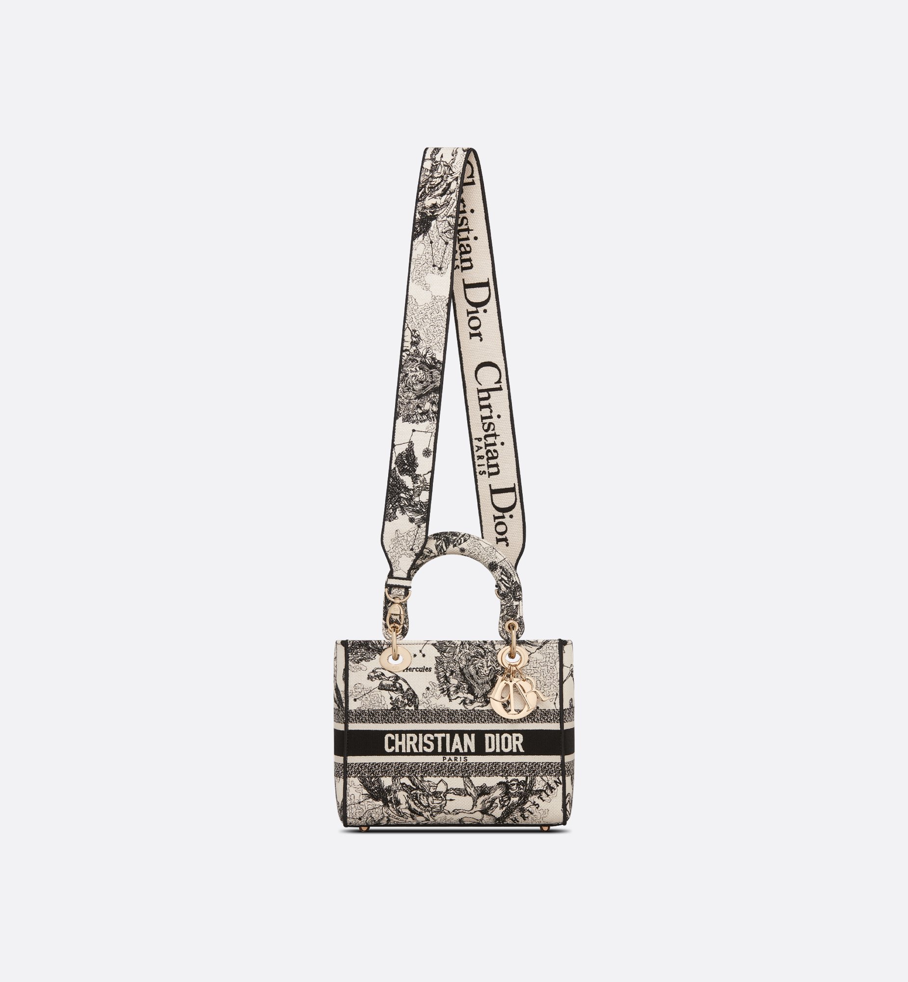 Dior Medium Lady D-Lite Bag M0565ORHZ_M941