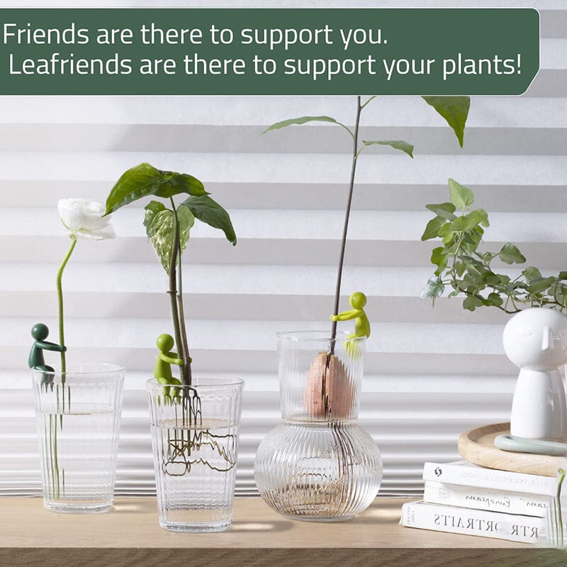 🔥Hot Sale Now - 50% OFF🔥💥3-Pack/Set Plant Cuttings Support & Propagation Buddy