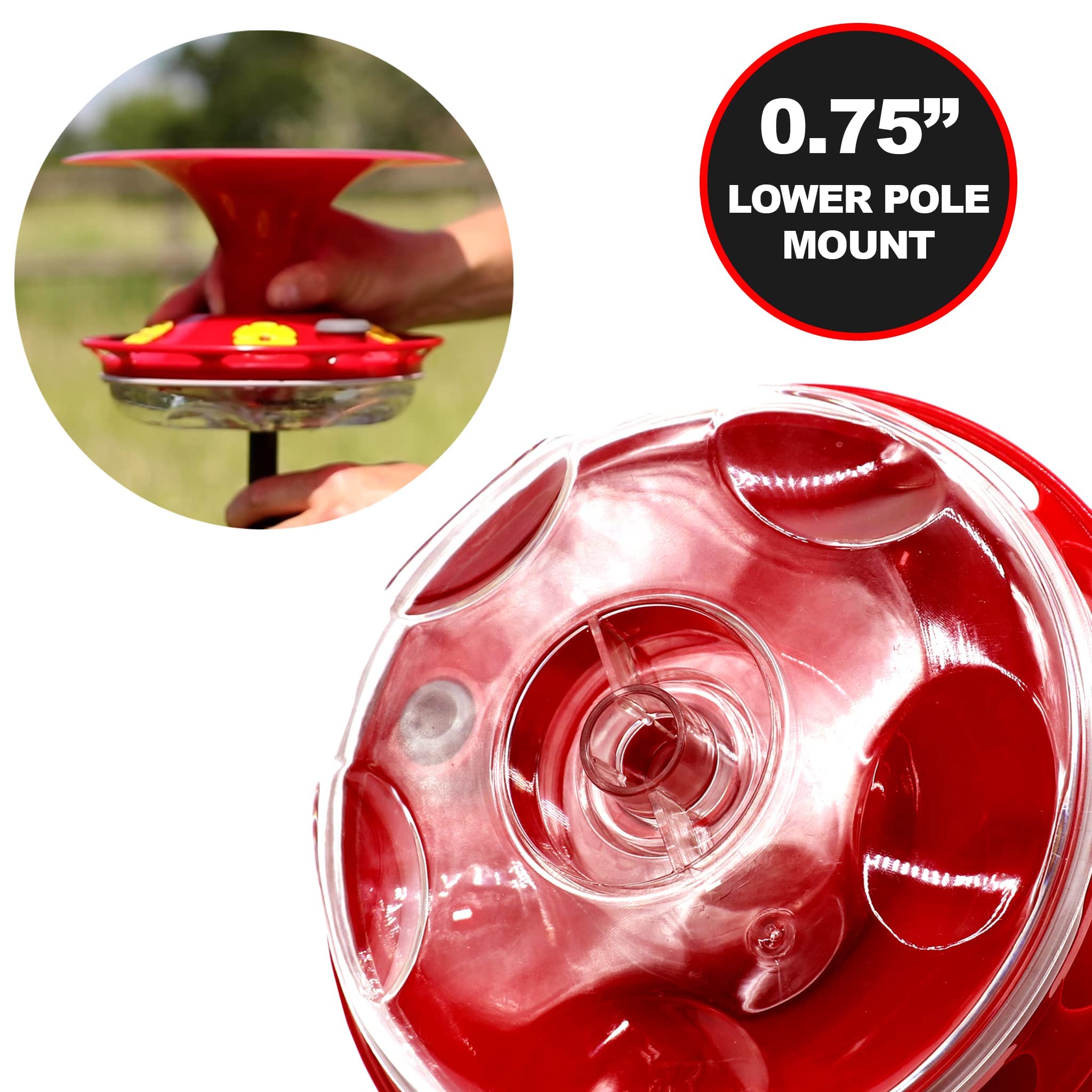 🔥HOT SALE 50% OFF🔥Hanging New Outdoor Hummingbird Feeder🐦