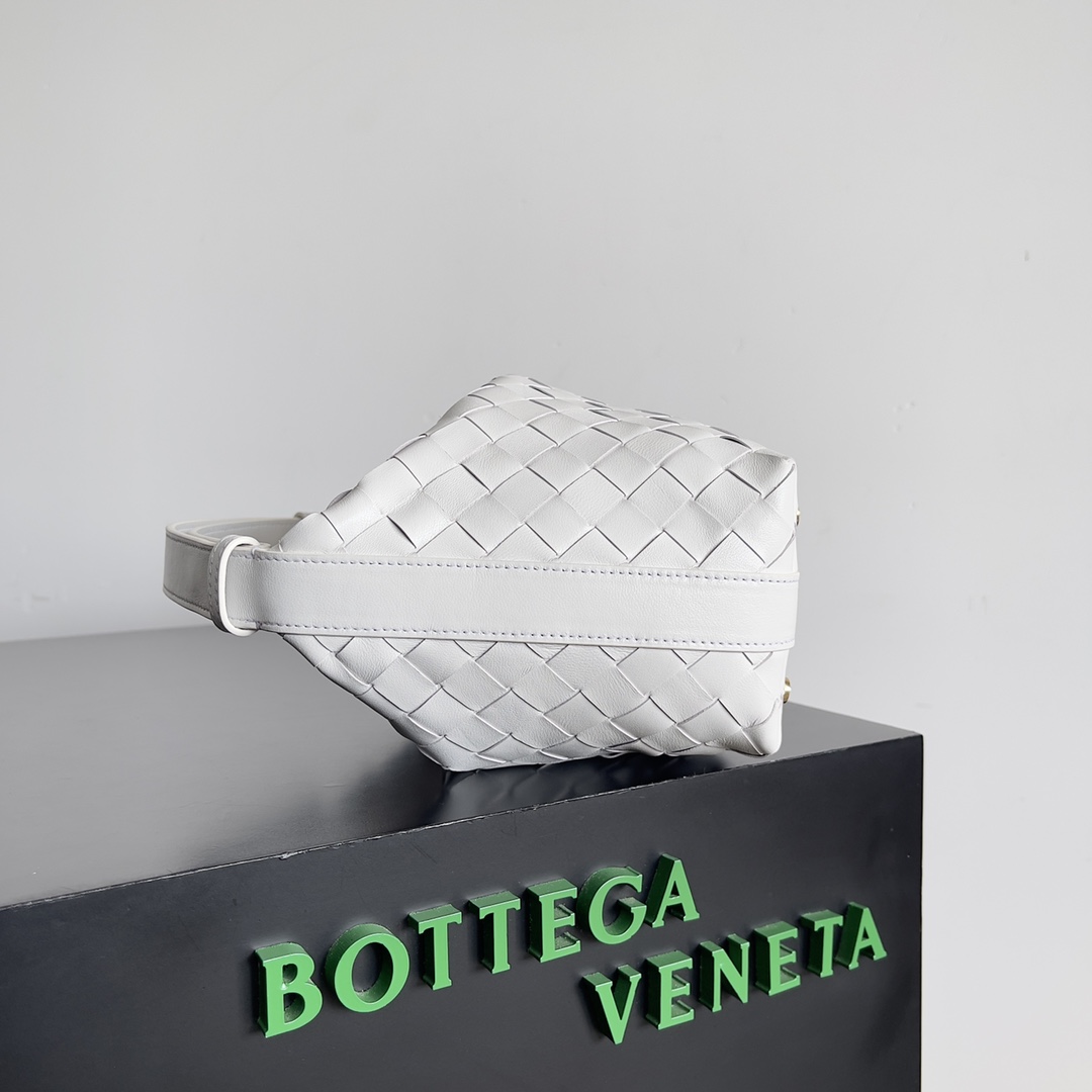 Bottega Veneta Year of the Snake Limited Edition Wallace Handbag 754443