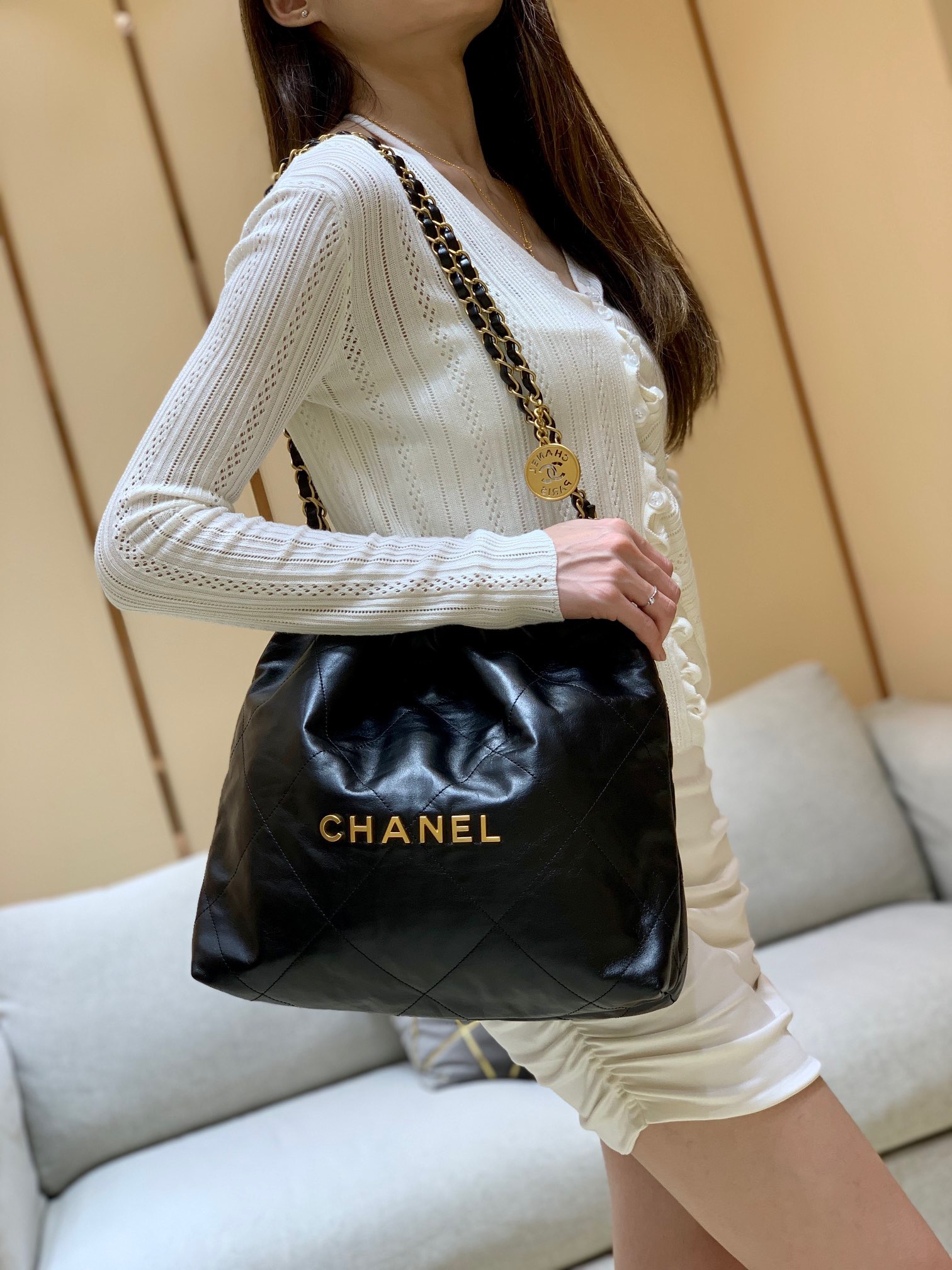 Chanel 2022cc Spring/Summer Collection Handbag AS3260