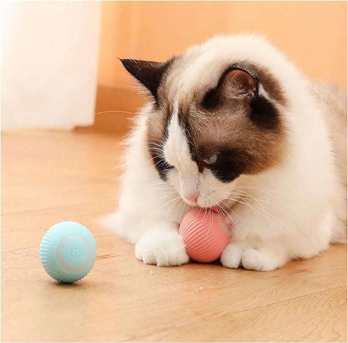 Rolling Smart Ball For Cat