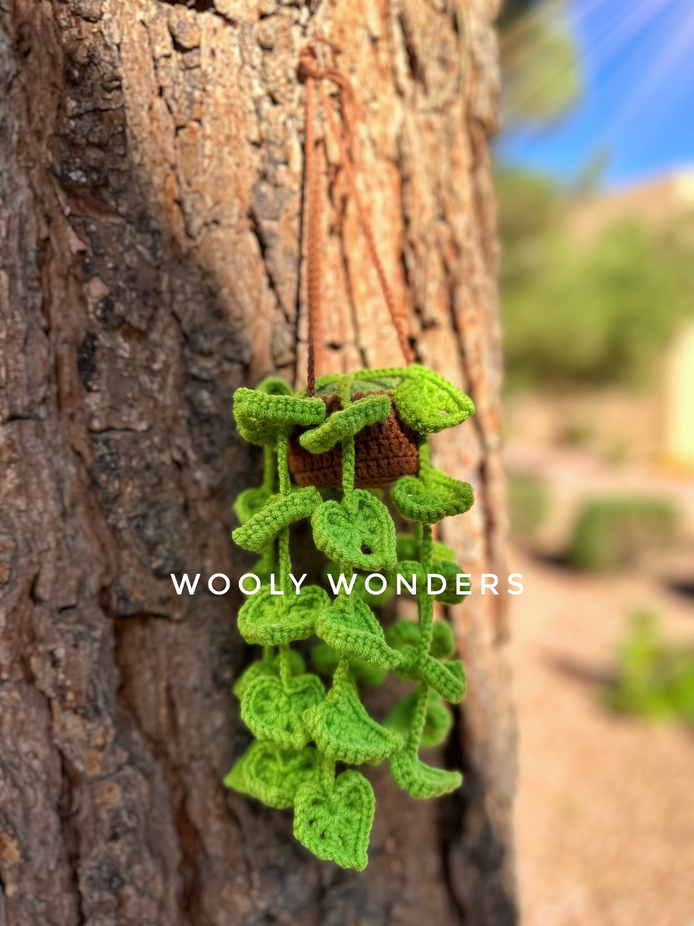 🌸Handcrafted Crochet Hanging Plants🌸