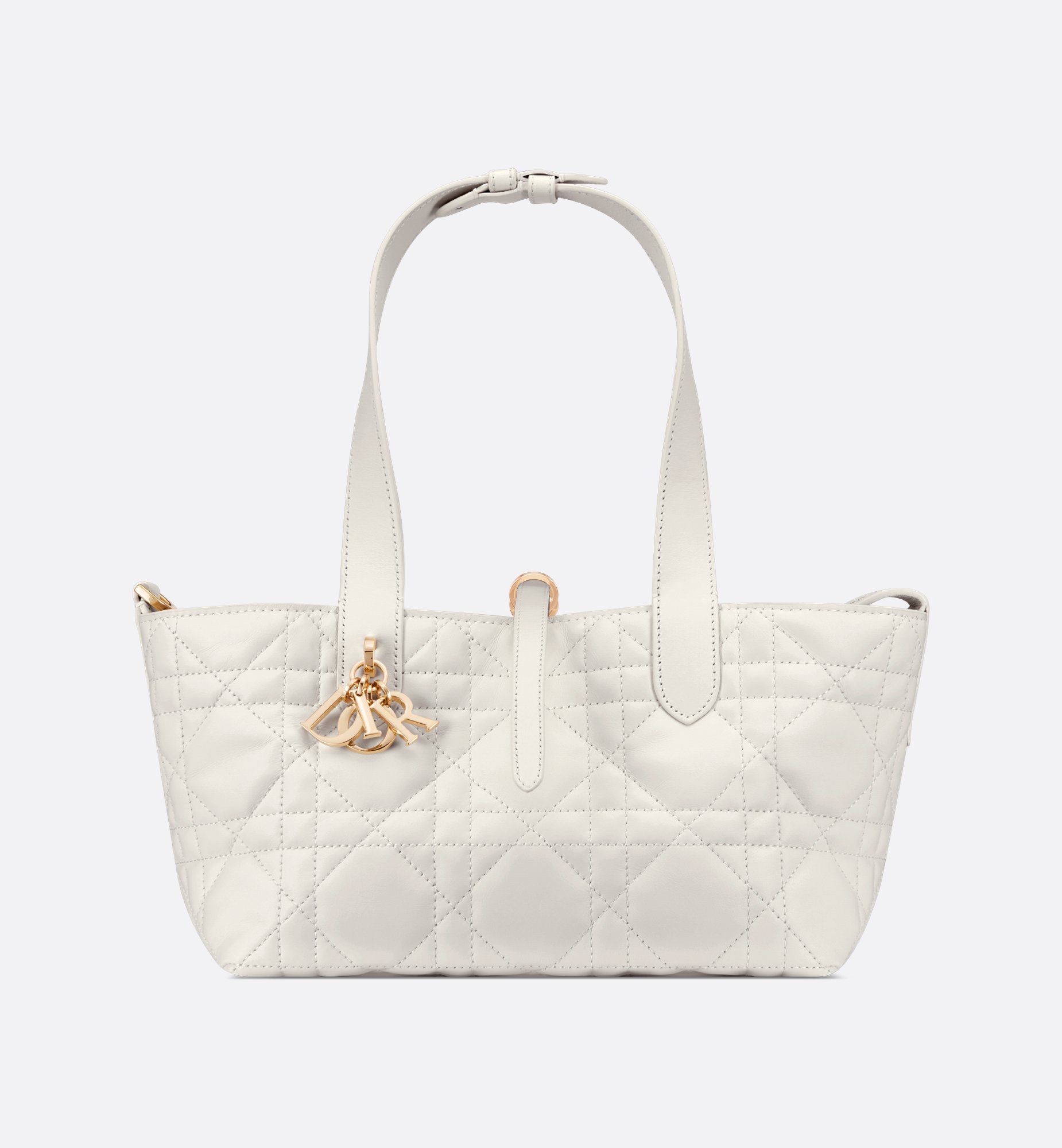 Dior Small Dior Toujours Bag M2822OSNW_M030