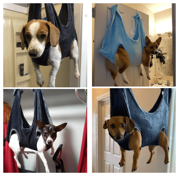 (💥Last Day Promotions-50% OFF)--Pet Grooming Hammock😻--BUY 2 GET 10% OFF & FREE SHIPPING