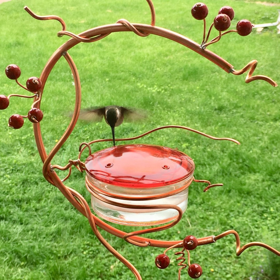 🔥Mother's Day Promotion-[SAVE 50% OFF]🎉🔥Coppervine Red Berry bird Feeder-BUY 3 GET 1 FREE & GET EXTRA 15% OFF