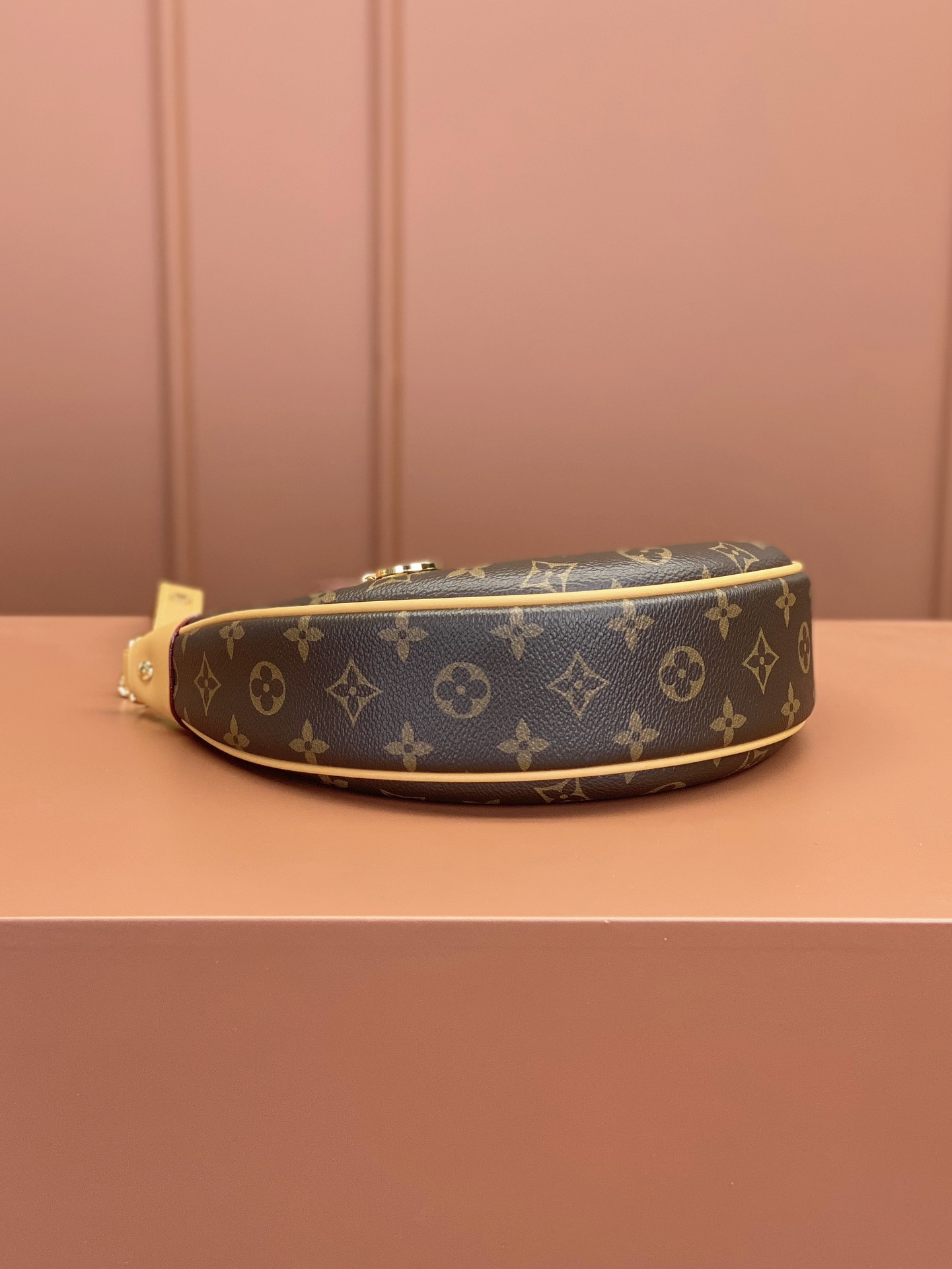 Louis Vuitton LOOP Handbag M81098