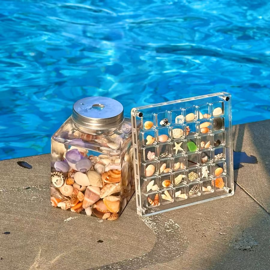 🔥Last Day Low Price in History🔥Magnetic Seashell Display Box