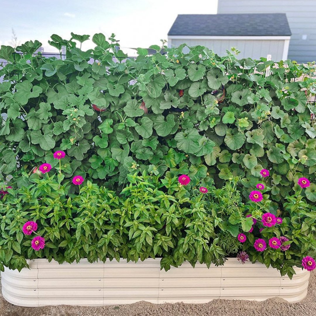 🌷2025D Spring Clearance Sale 🔥A8x2 Metal Raised Garden Beds (9 in 1)【Upgrade 2.0】