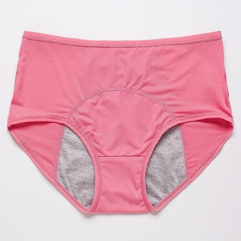 🔥Last Day BUY 2 GET 1/BUY 3 GET 2 🔥 - High-waisted Leak Proof Panties✨