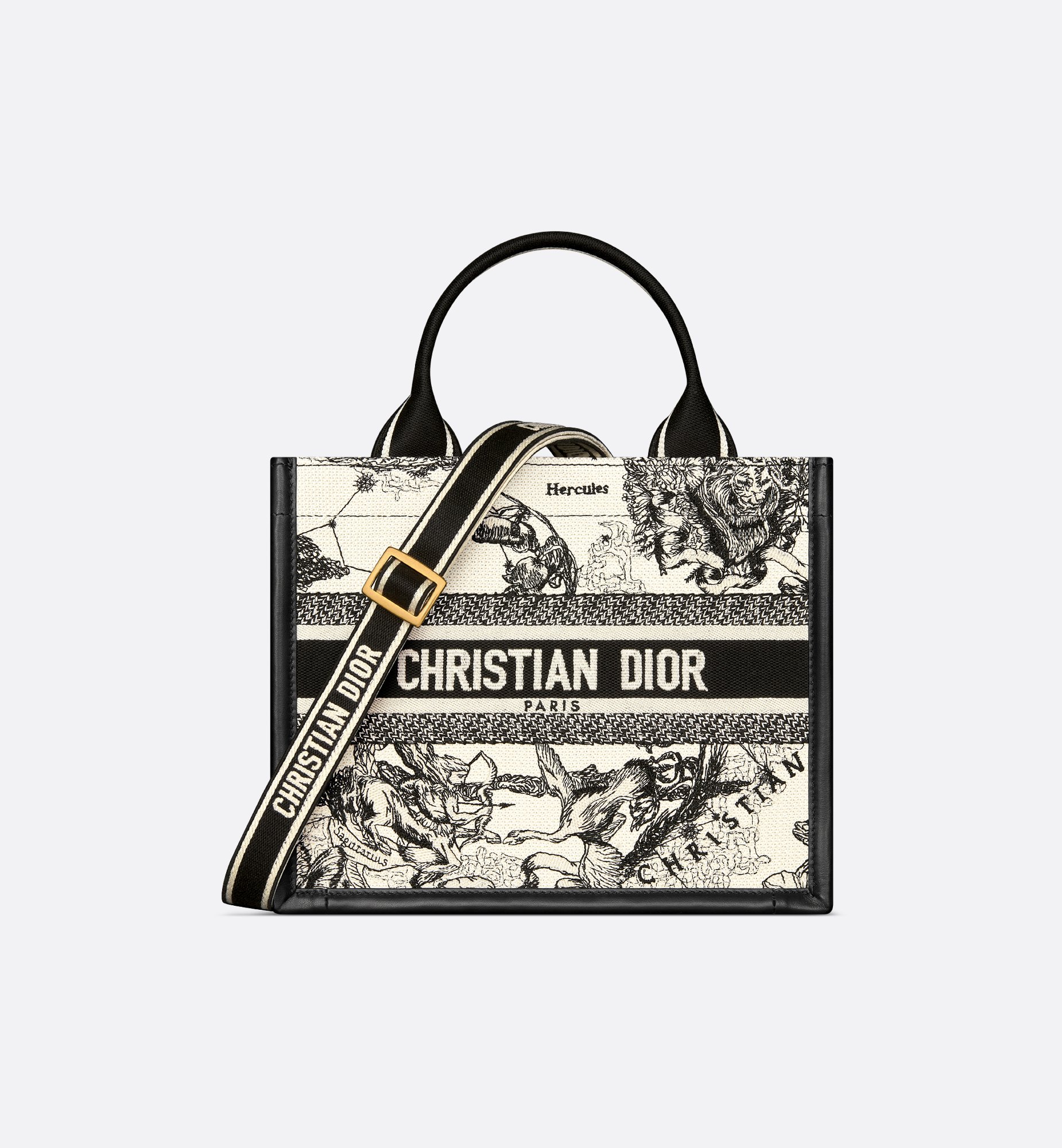 Dior Small Book Tote Bag M1325CETW_M06E