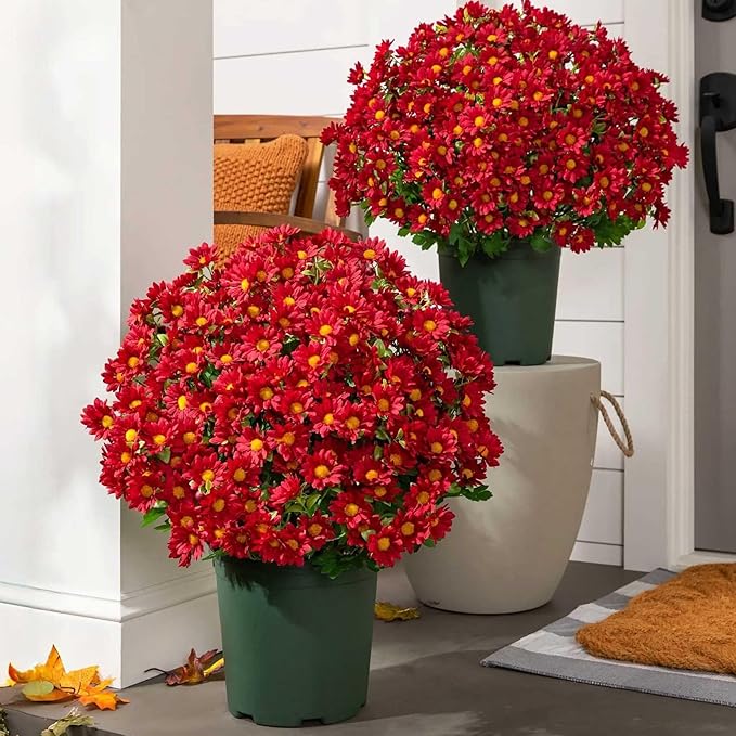 ⚡Flash Sale⚡ Artificial  FAUX MUMS for Fall  Decoration，Waterproof, UV-resistant