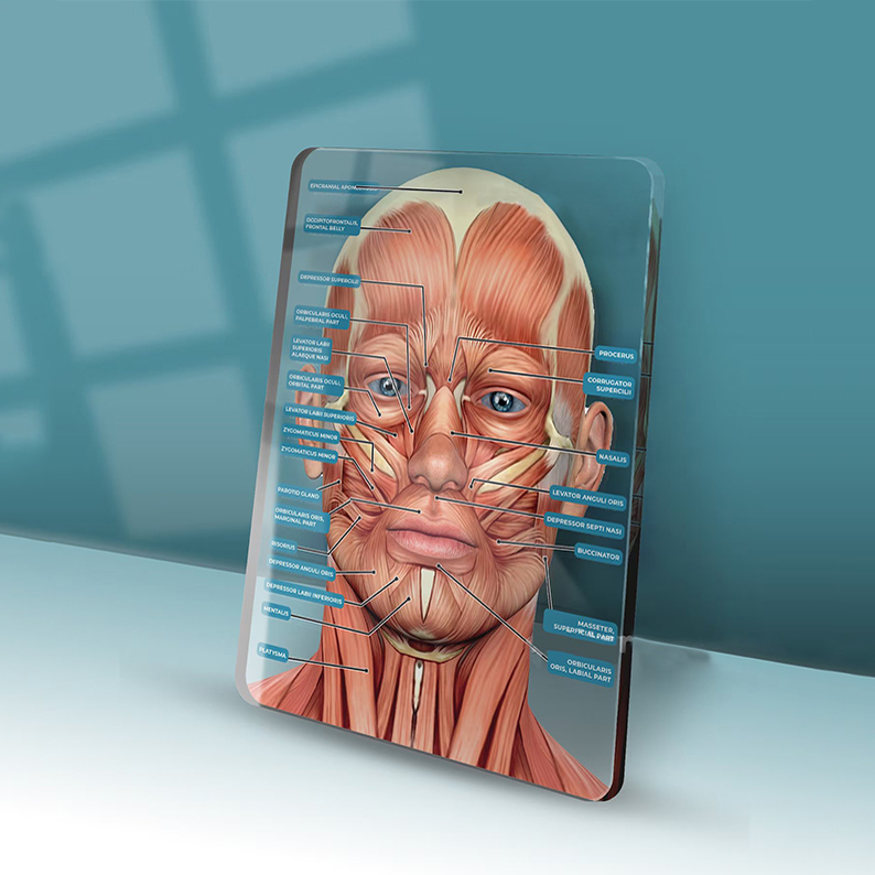 Veins & Arteries Aesthetics Training Academy