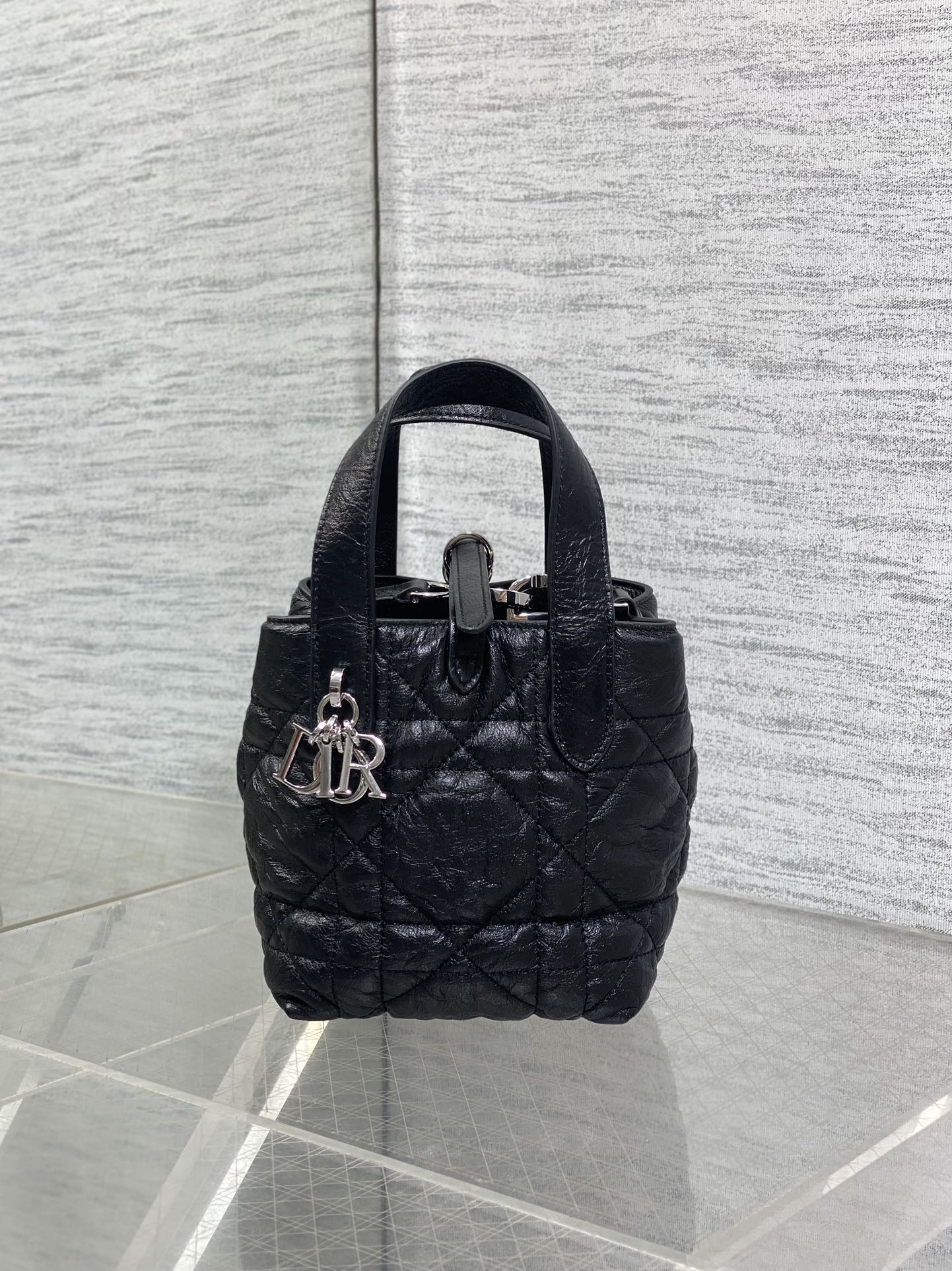Dior Toujours vertical series mini