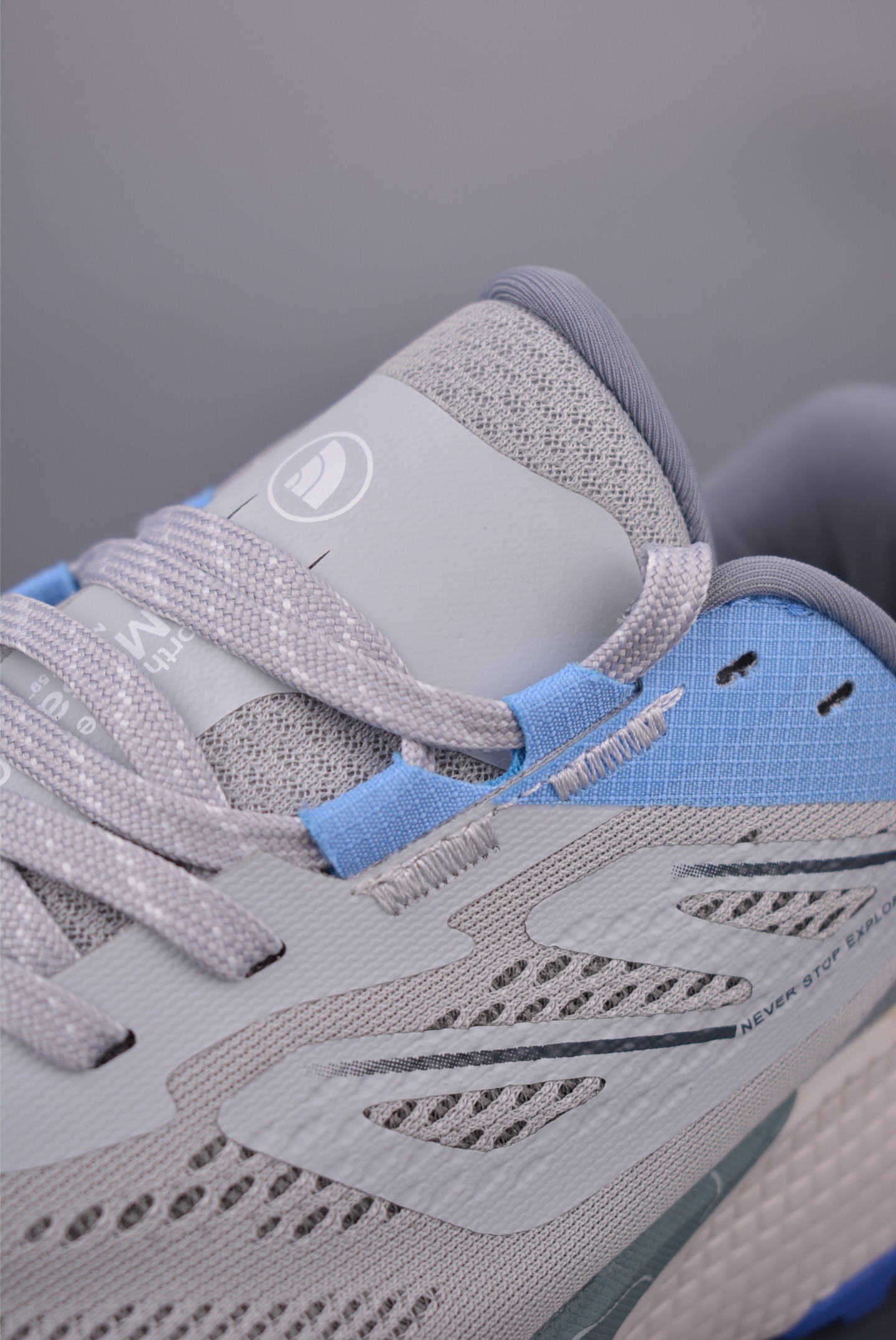 The North Face Altamesa 500 Hiking Shoes 