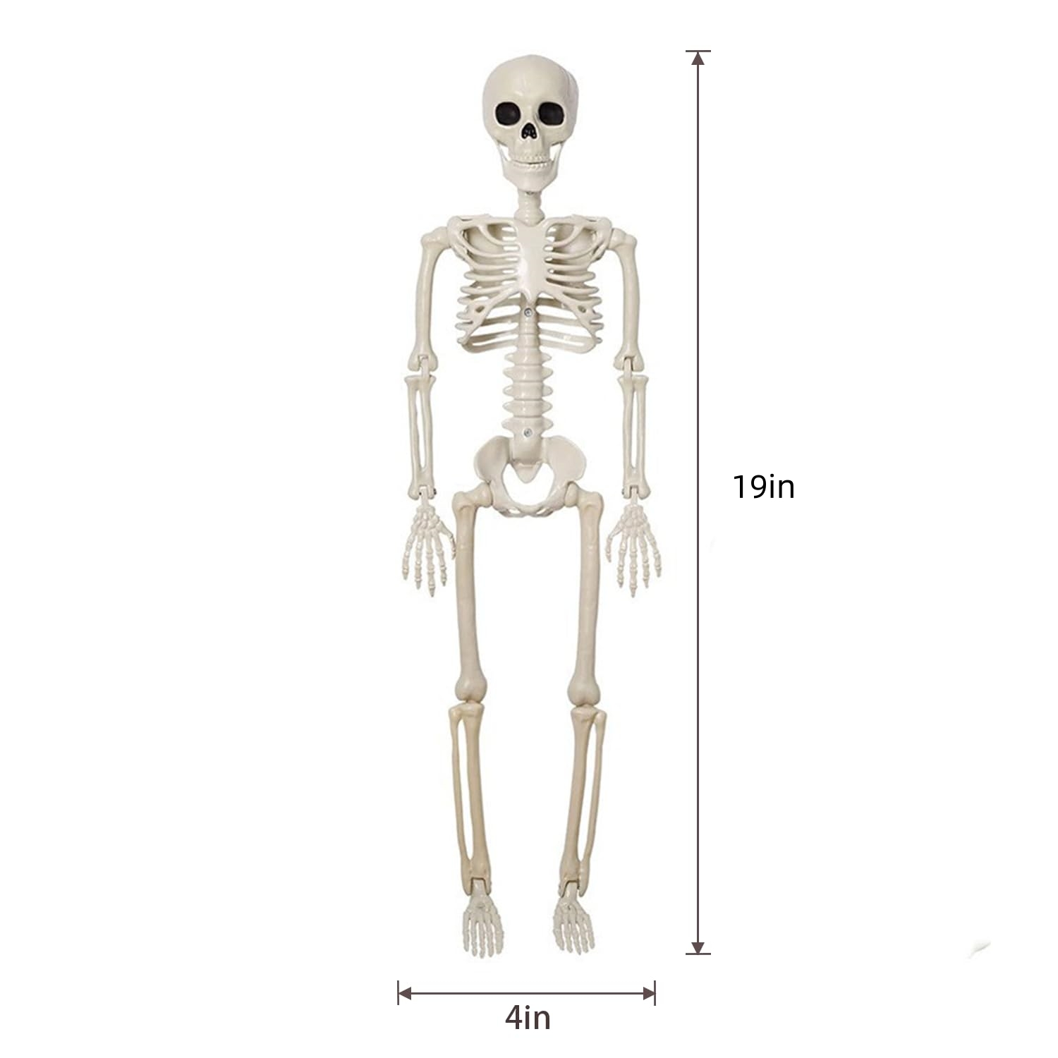 🔥Limited-Time Halloween Offer!🔥Full Body Posable Skeleton Realistic Human Bones