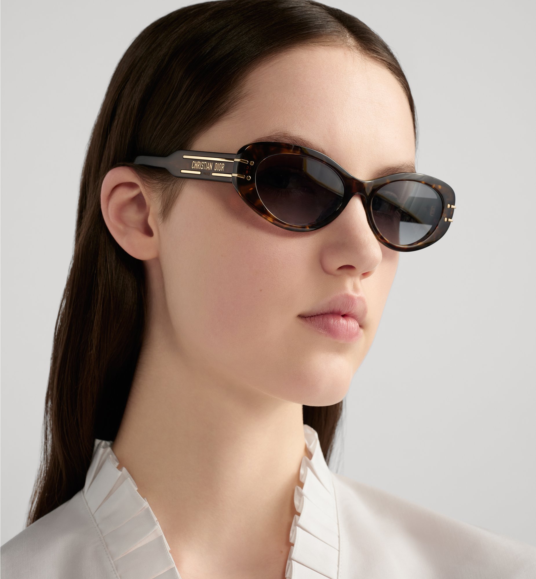 Dior DiorSignature B8U Sunglasses DSGTB8UXR_24A1