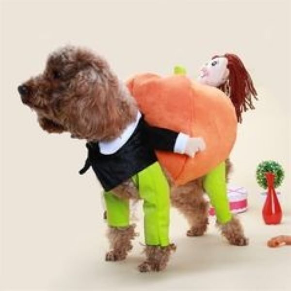 (🎃Early-Halloween Hot Sale-48%OFF) Pet Dog Pumpkin Halloween Costume