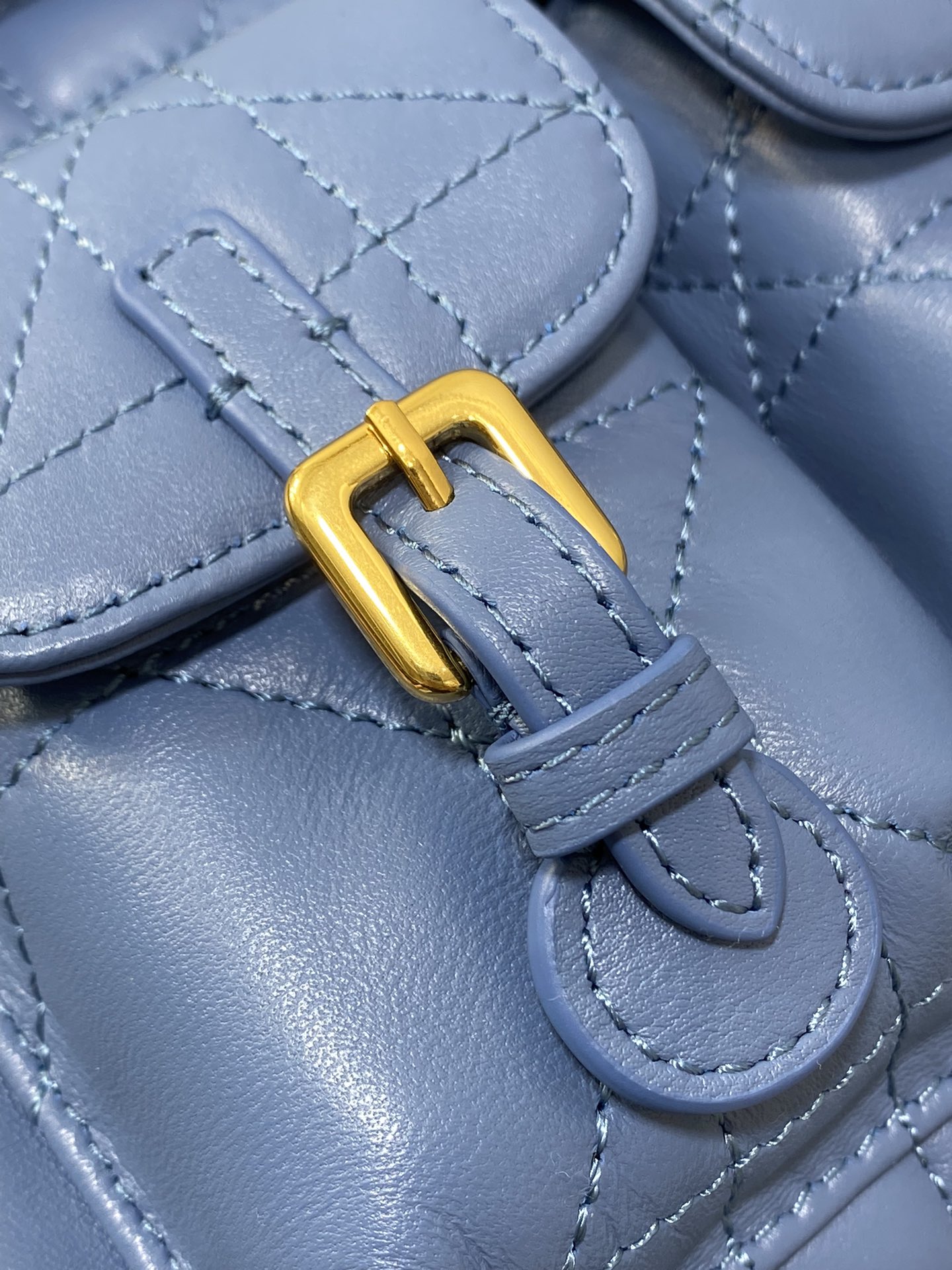 Dior Caro Fall/Winter Backpack