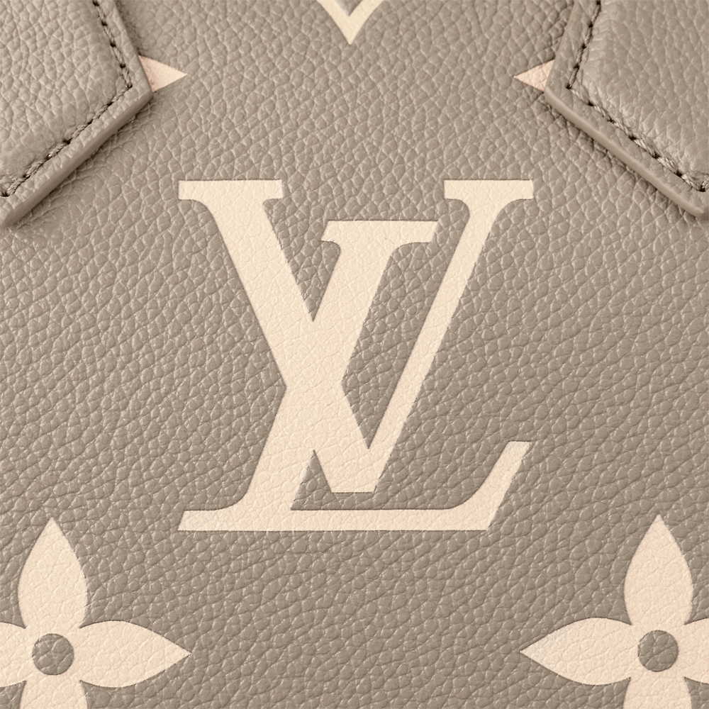 Louis Vuitton SPEEDY BANDOULIÈRE 20 Handbag M46575