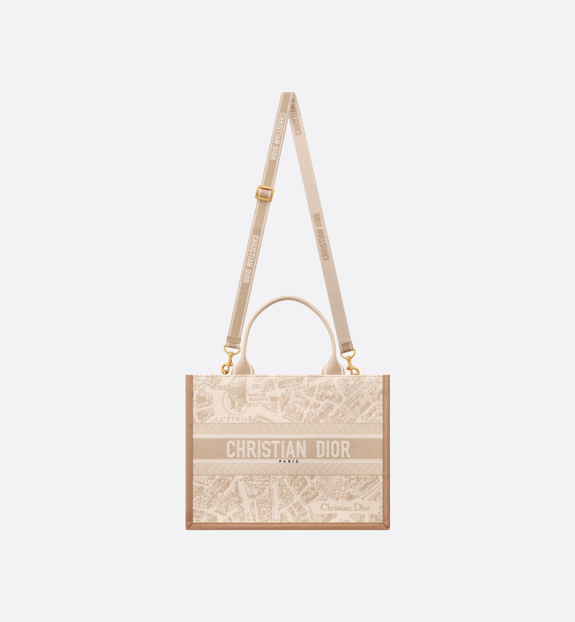 Dior Medium Book Tote Bag M1324CETJ_M925
