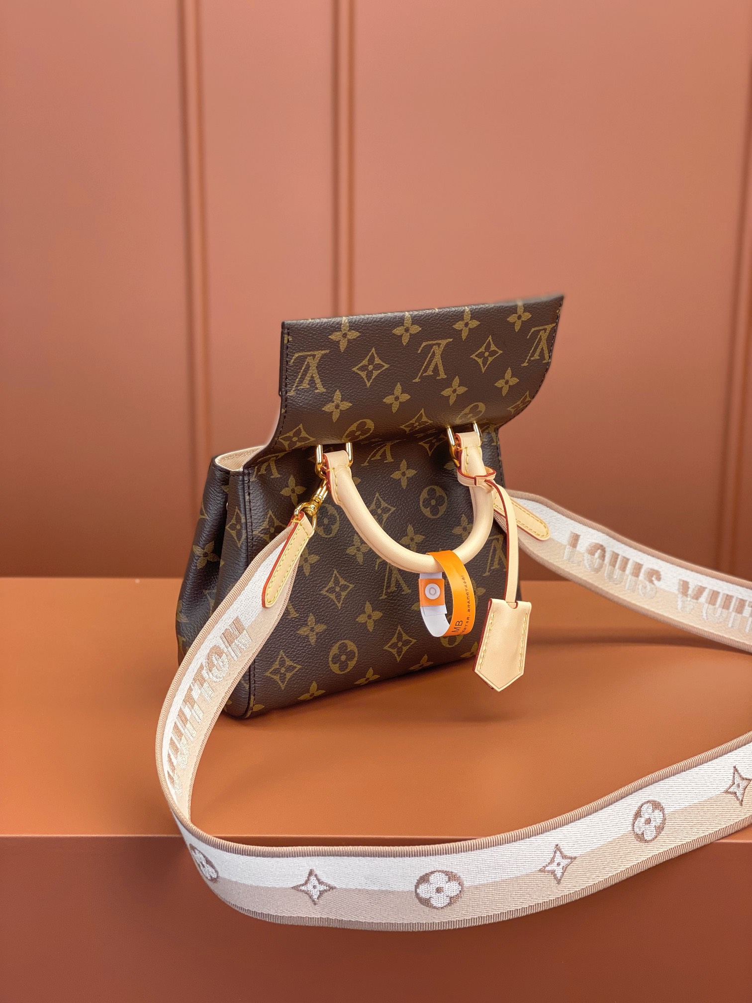 Louis Vuitton CLUNY Mini Bag M46055
