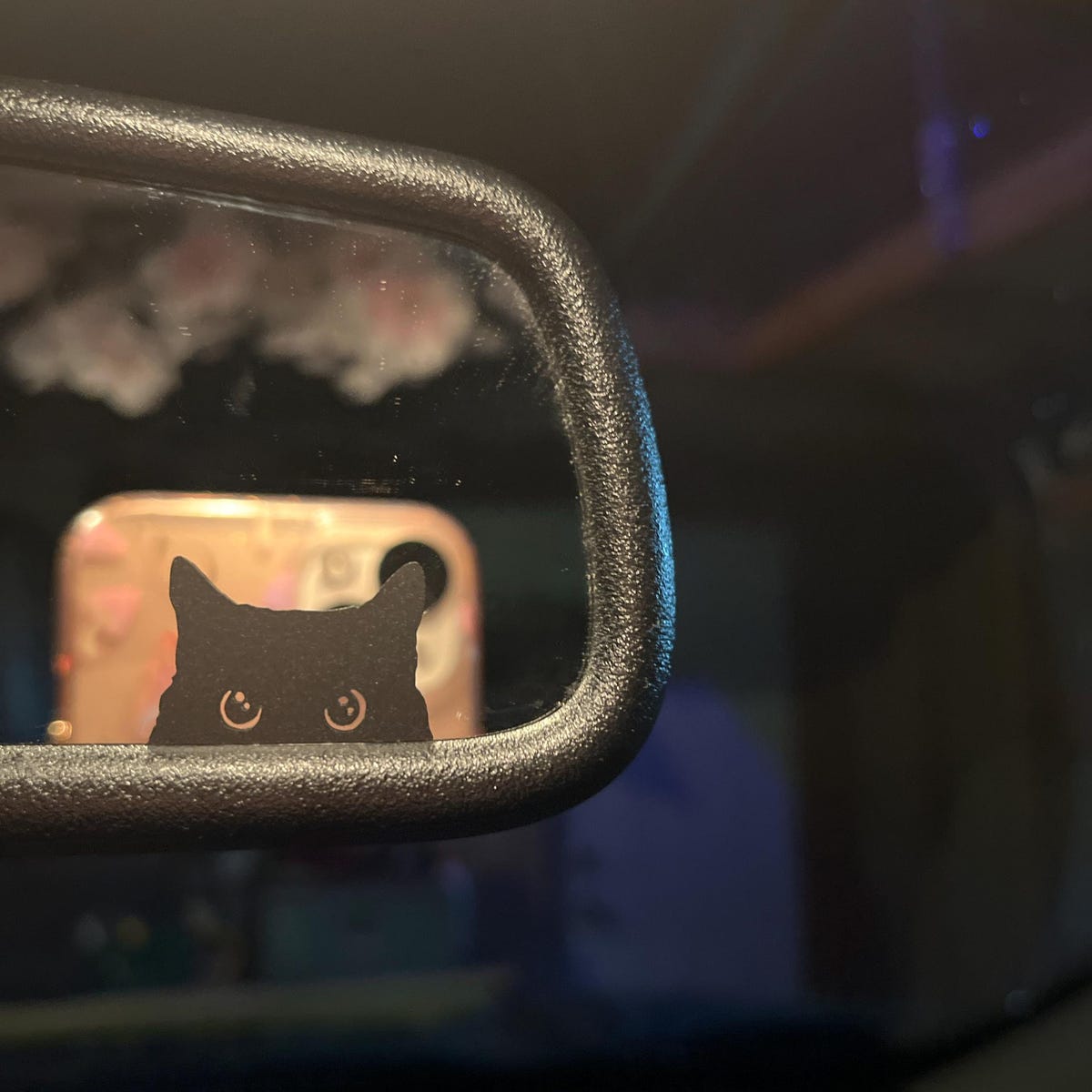 Cat Peeker Decal