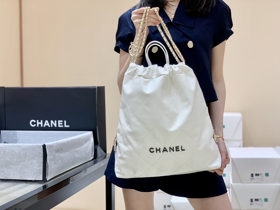 Chanel 2022cc Spring/Summer Collection Handbag AS3313