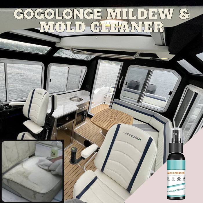 Mildew & Mold Cleaner