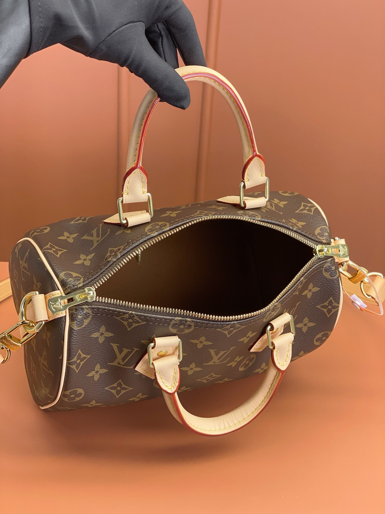 Louis Vuitton SPEEDY 25 Handbag M41113