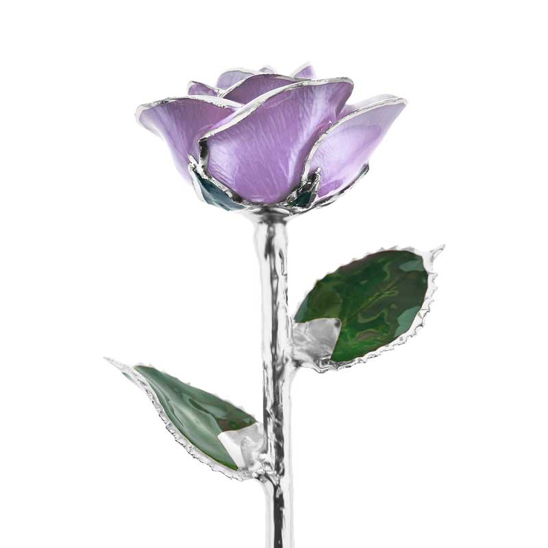 🔥HOT SALE🔥24kt Gold Dipped Rose Real Rose