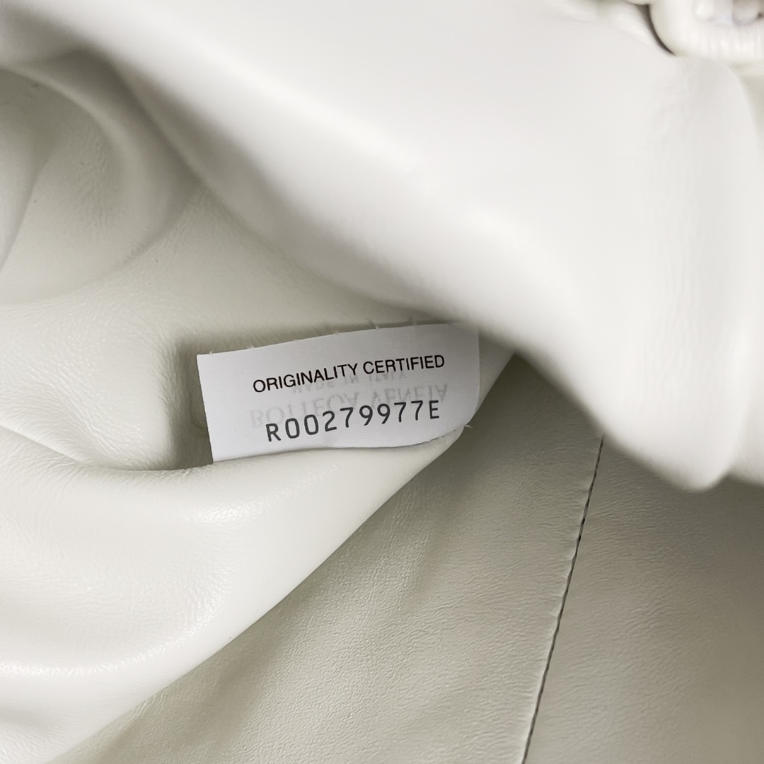 Bottega Veneta POUCH crocodile pleated cloud bag 576227