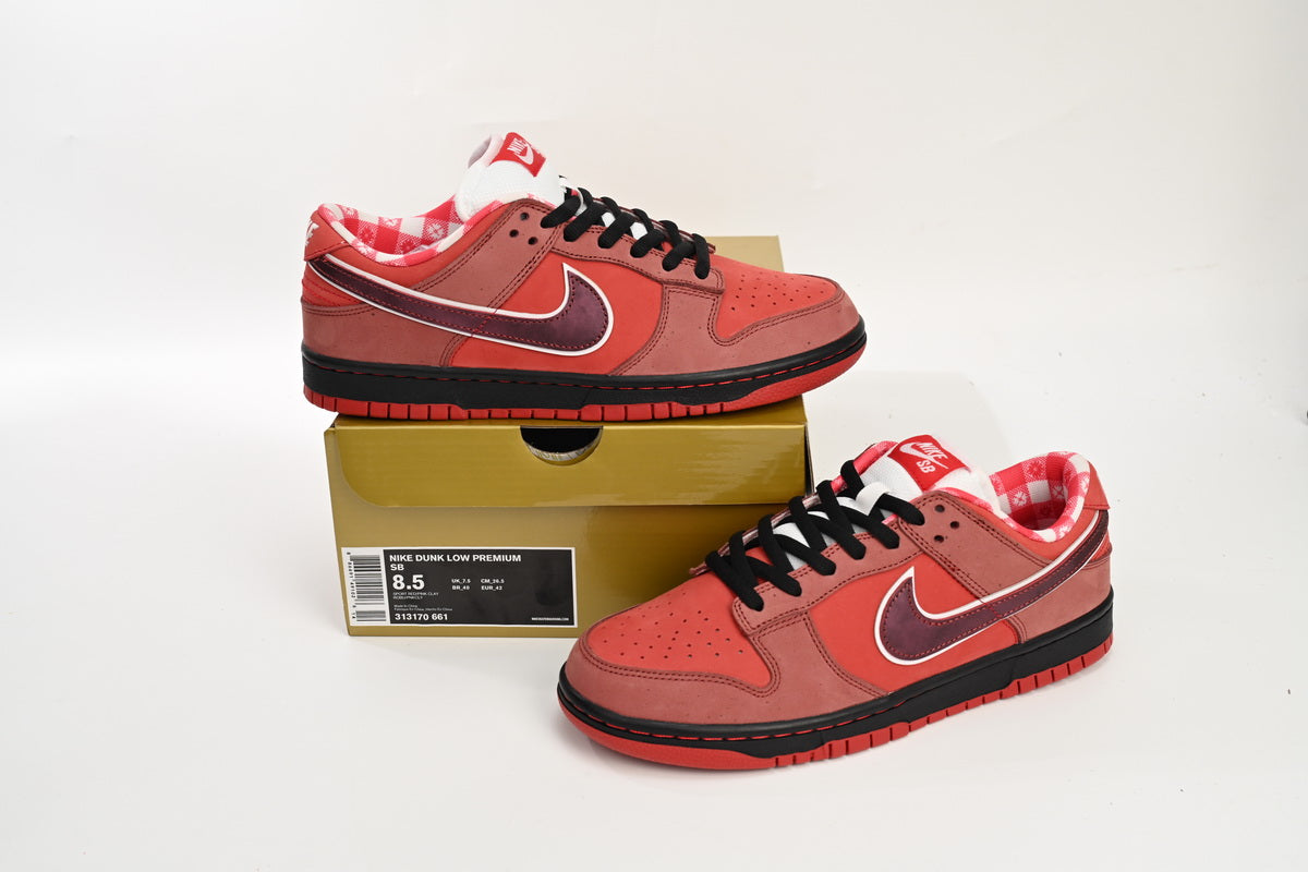 SB Dunk Low Lobster Shoes