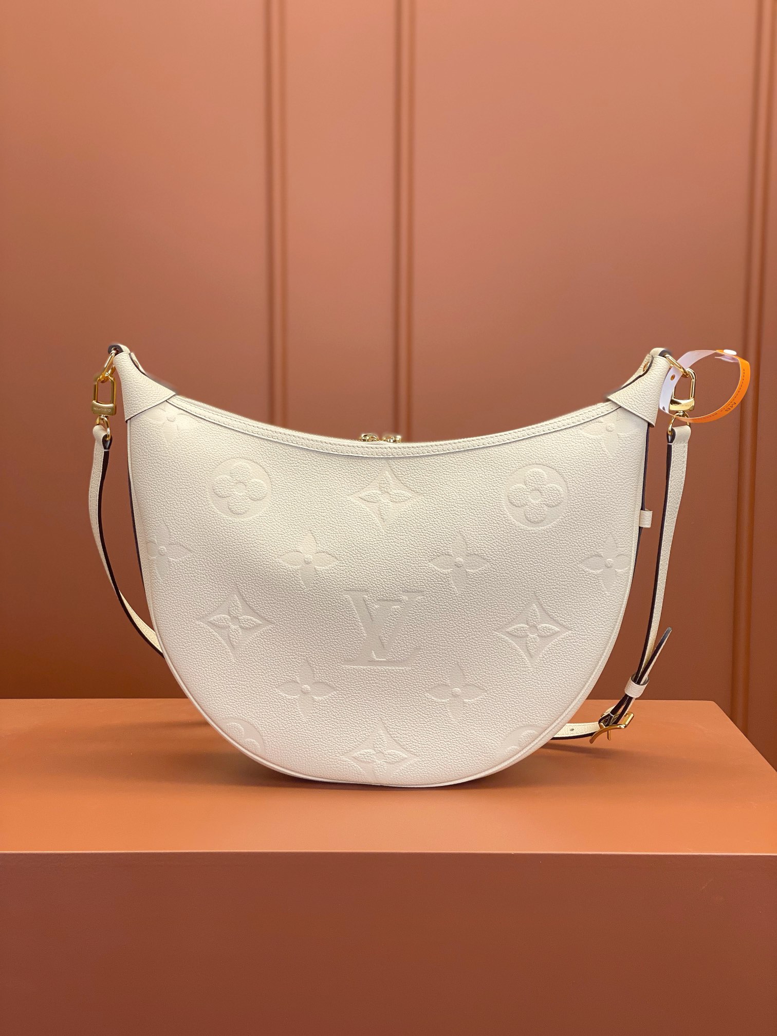 Louis Vuitton LOOP HOBO Handbag M46739
