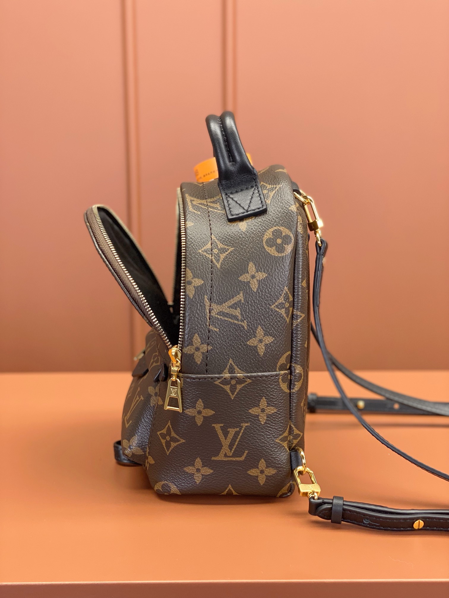 Louis Vuitton PALM SPRINGS Mini Backpack M44873