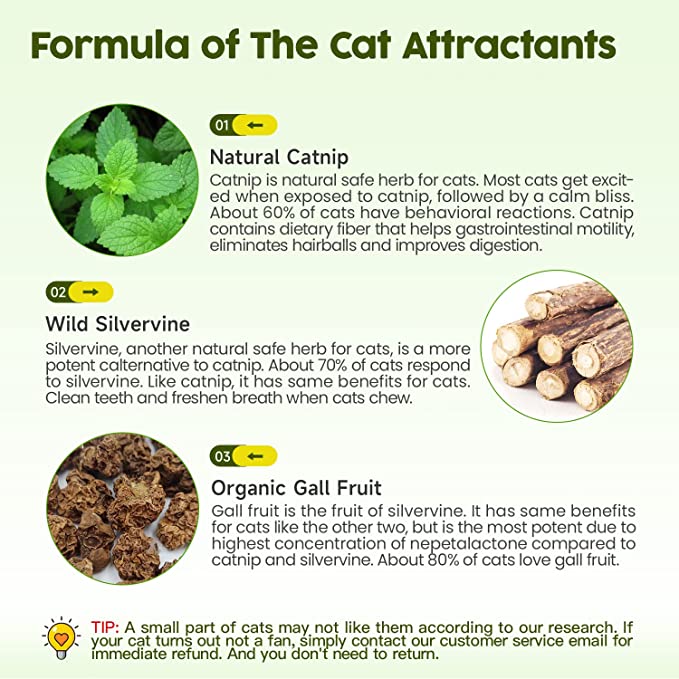 🔥Last Day Promotion-[SAVE 50% OFF]--Natural Silvervine Catnip Chew Toys--BUY 5 GET 5 FREE & FREE SHIPPING