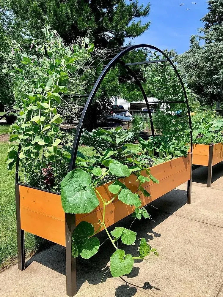 🌷2025B Clearance Sale 🔥8' X 2' x 4' Self-Watering Eco-Stained Elevated Planter Box+ Arch Trellis