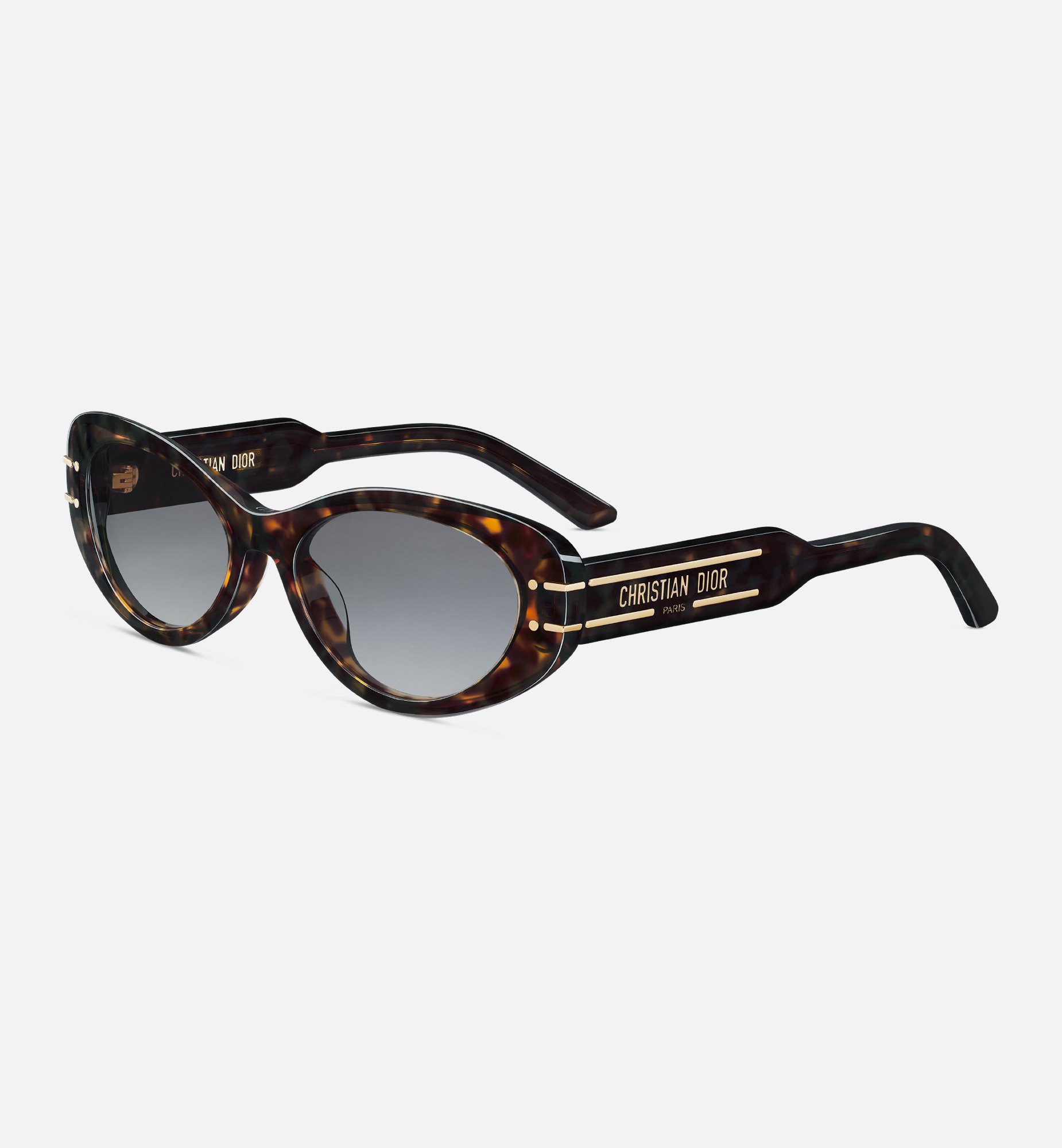 Dior DiorSignature B8U Sunglasses DSGTB8UXR_24A1