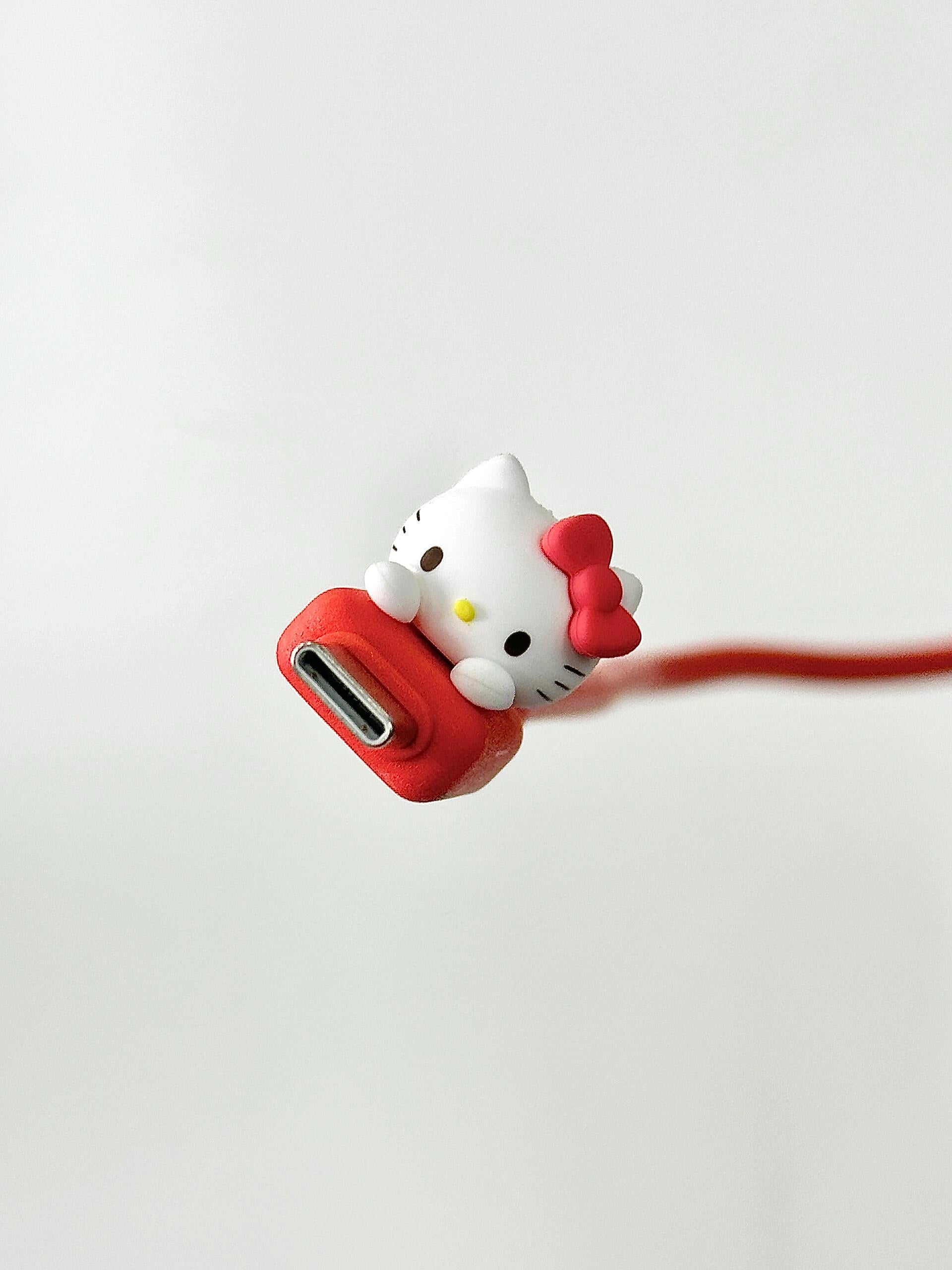Sanrio Charging Cable Fast Charger Cord Adapter with IP/Type C