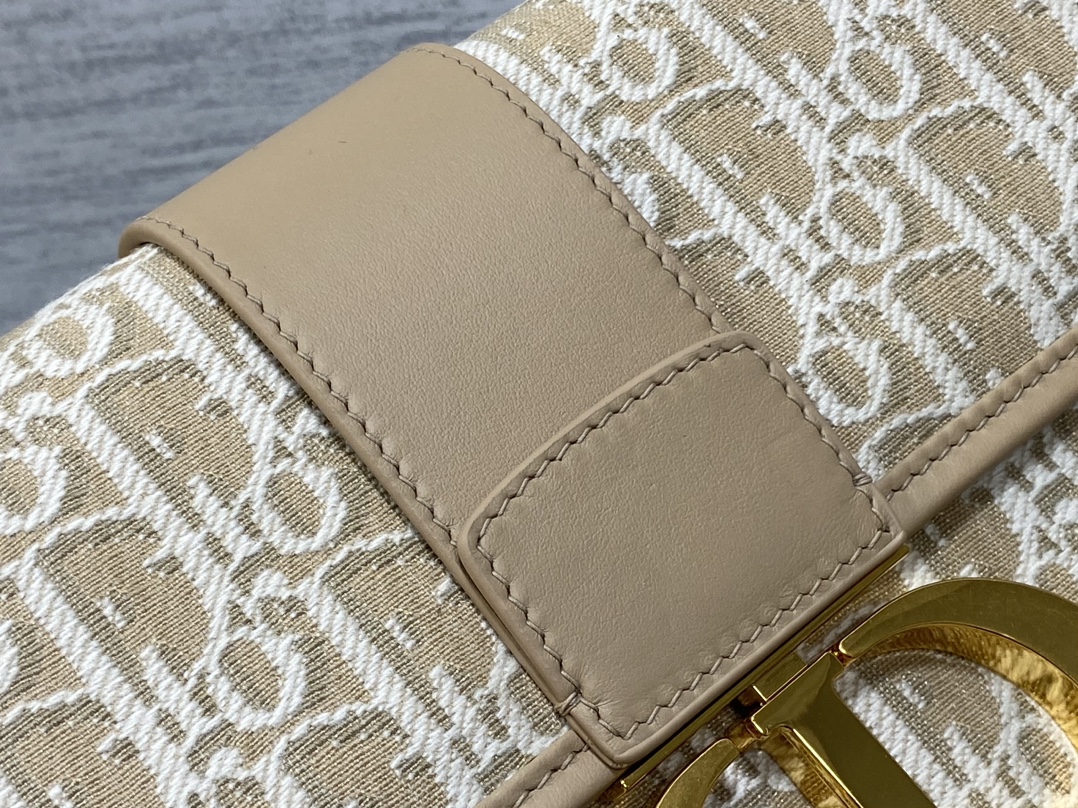 Dior Montaigne Chain Bag Large