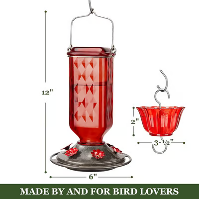 🔥HOT SALE 50% OFF🔥New Hanging Outdoor Glass Hummingbird Feeder With Perch And Built-in Ant Moat🐦