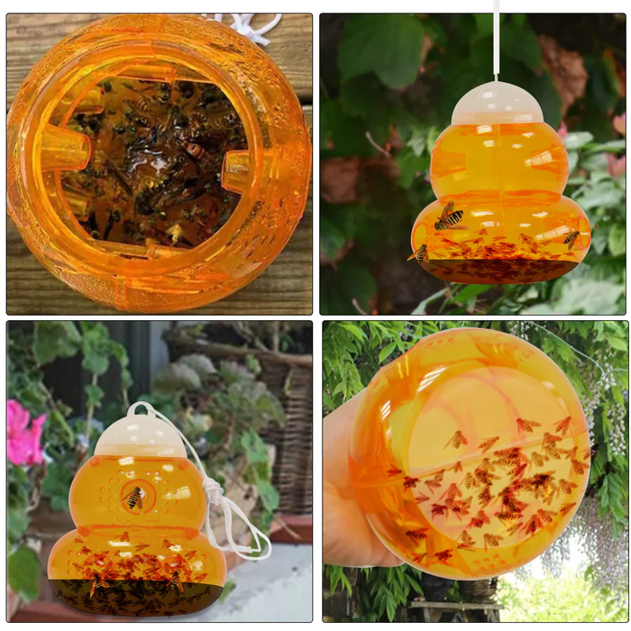 EFFECTIVE WASP TRAPS